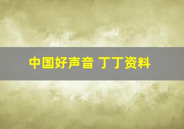 中国好声音 丁丁资料